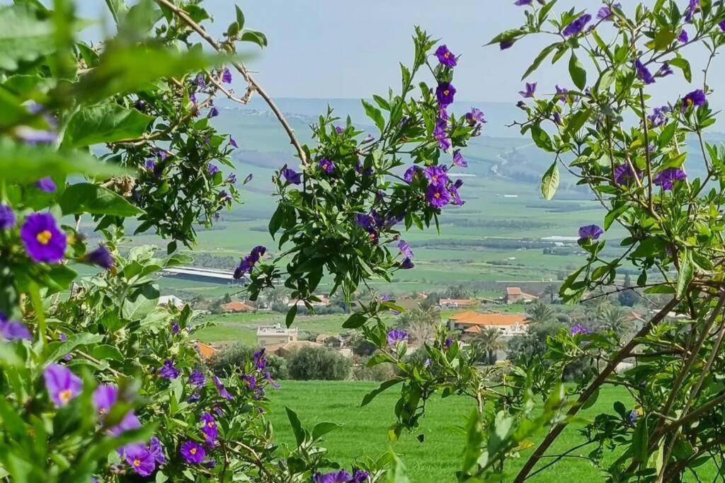 Suite Kolibri In Galilee Semadar Esterno foto
